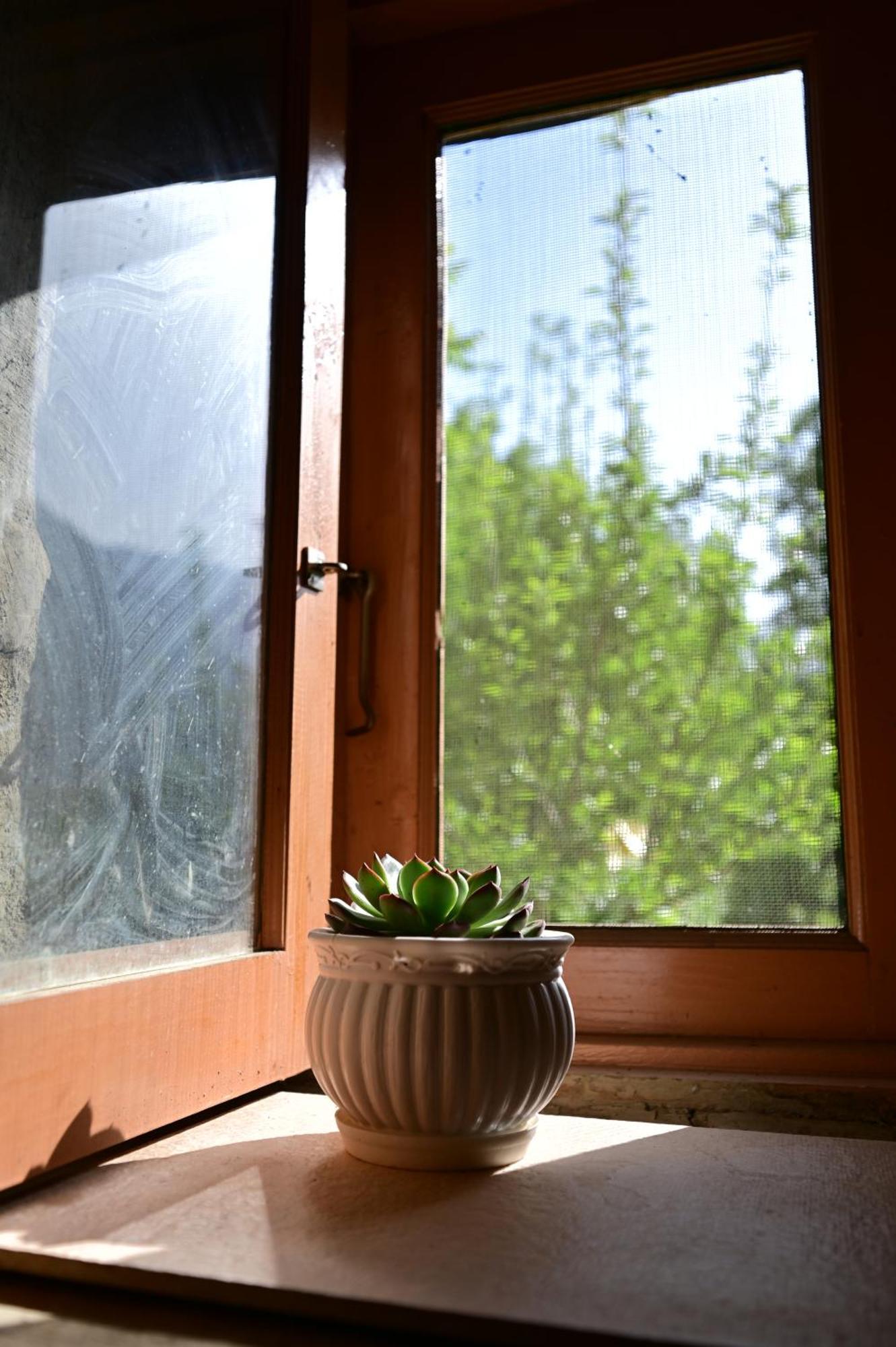 Himalayan Mud Resort Kasol Luaran gambar